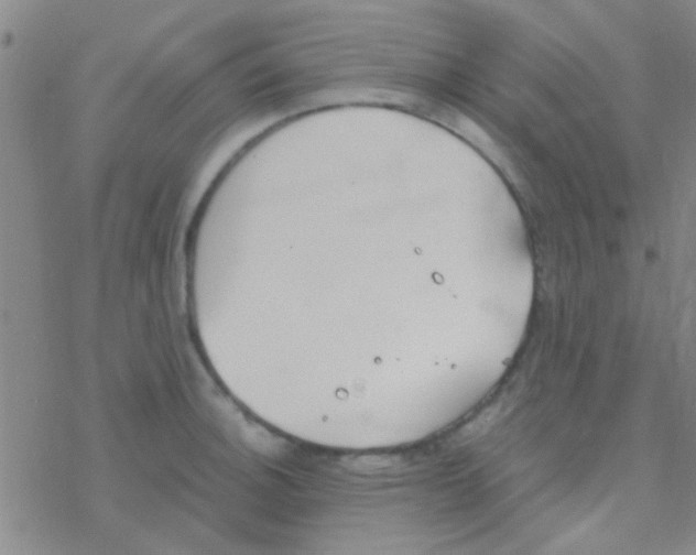 X0000076251140200610261934