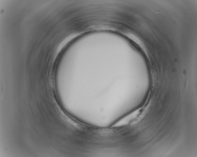 X0000076251141200610261934