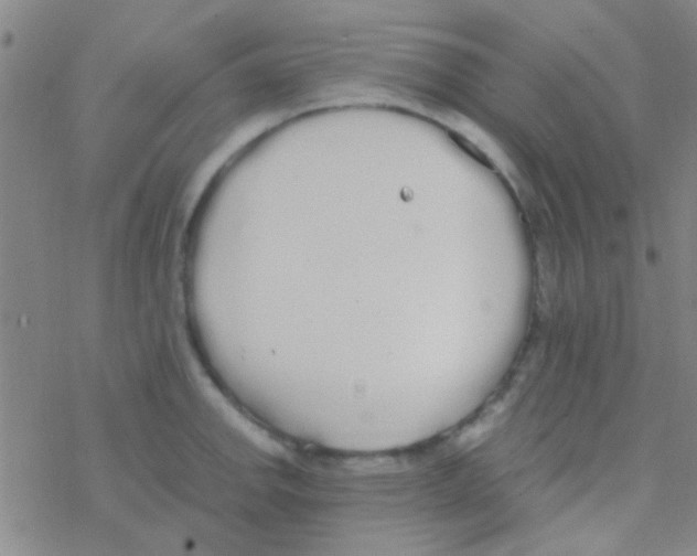 X0000076251142200610261934