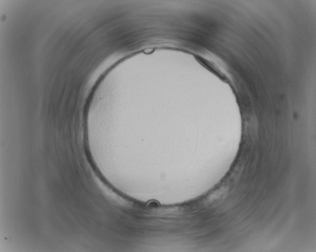 X0000076251143200610261934