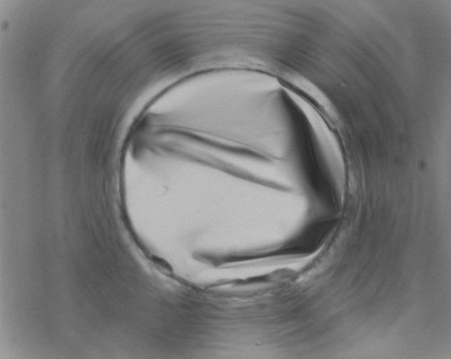 X0000076251144200610261934