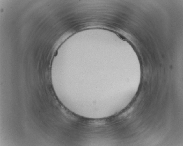 X0000076251145200610261934