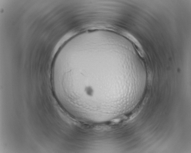 X0000076251146200610261934