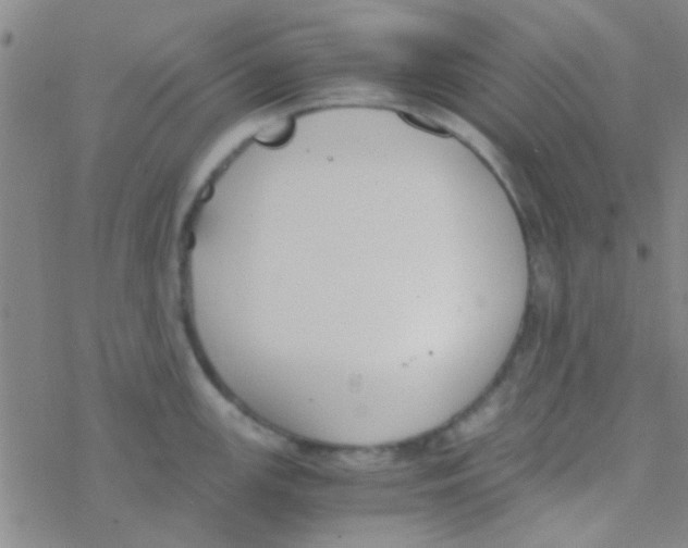 X0000076251147200610261934