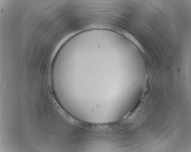 X0000076251148200610261934