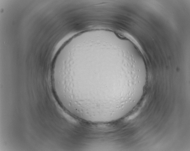 X0000076251149200610261934