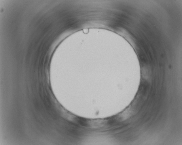 X0000076251150200610261934