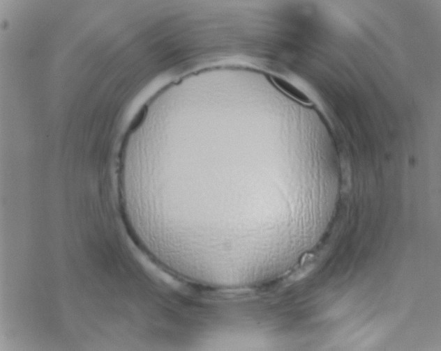 X0000076251151200610261934