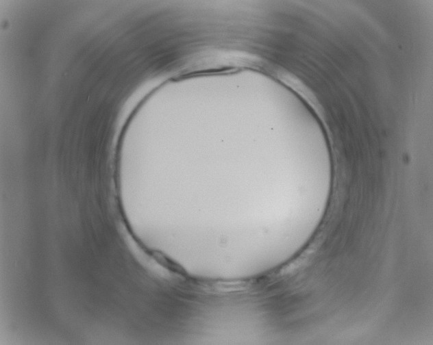 X0000076251152200610261934