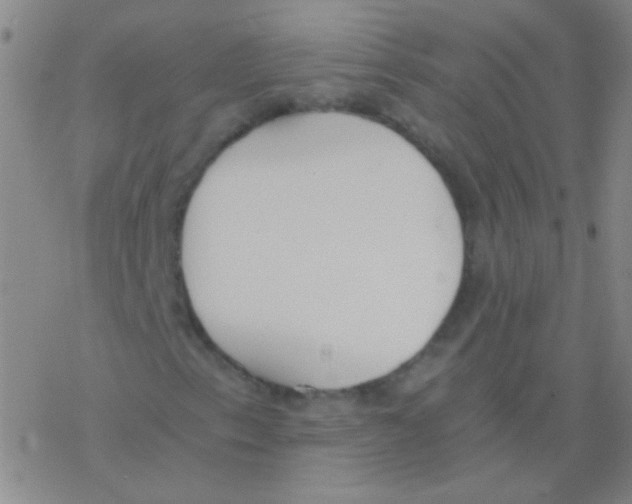 X0000076251153200610261933