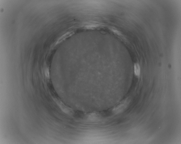 X0000076251155200610261933