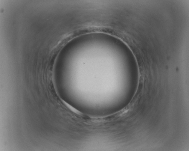 X0000076251157200610261933