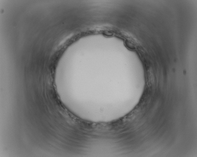 X0000076251158200610261933