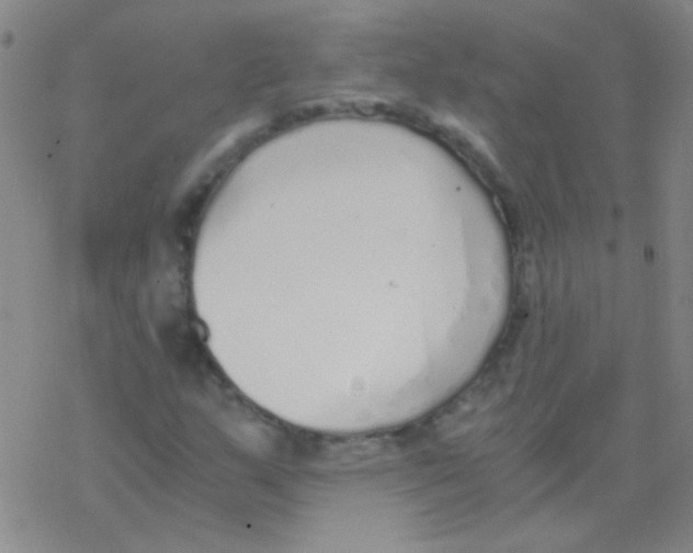 X0000076251159200610261933