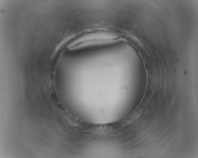 X0000076251160200610261933