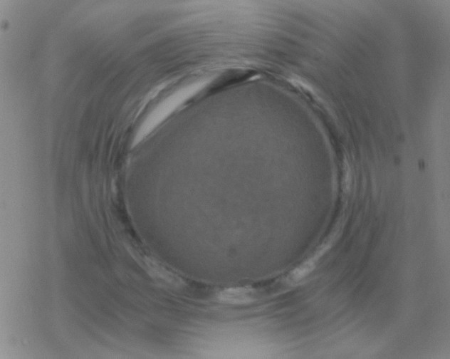 X0000076251161200610261933