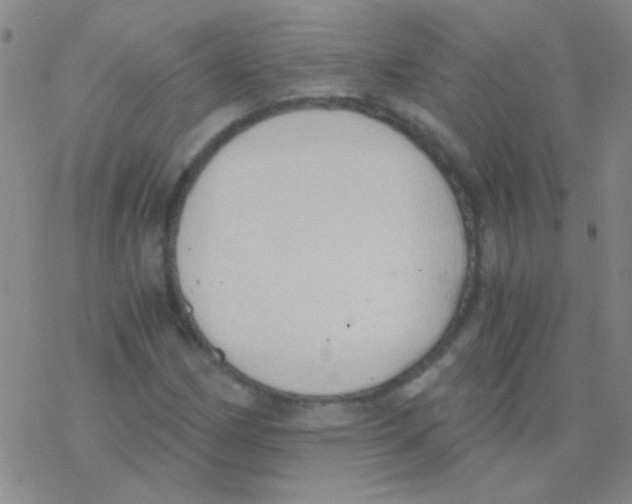 X0000076251162200610261933