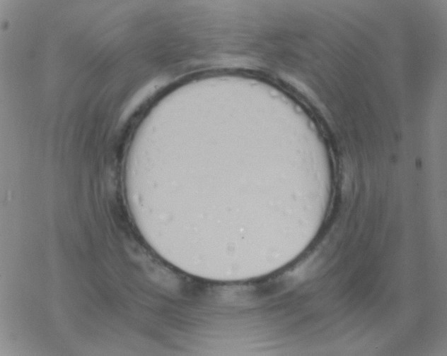 X0000076251163200610261933