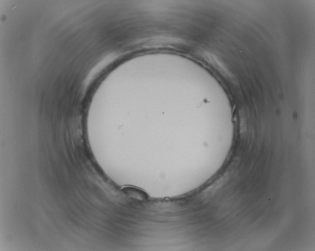 X0000076251164200610261933