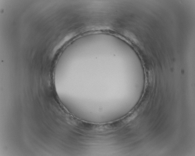 X0000076251165200610261933