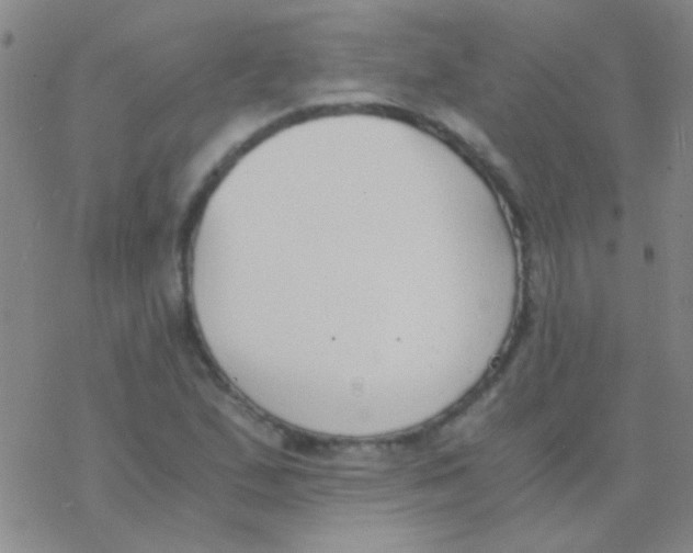 X0000076251167200610261933