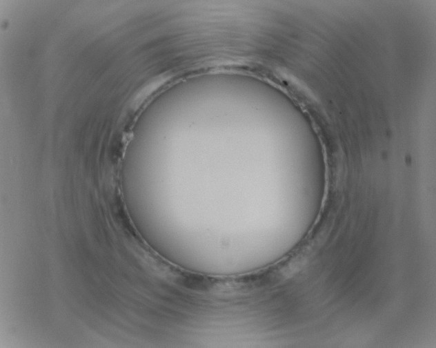 X0000076251169200610261933