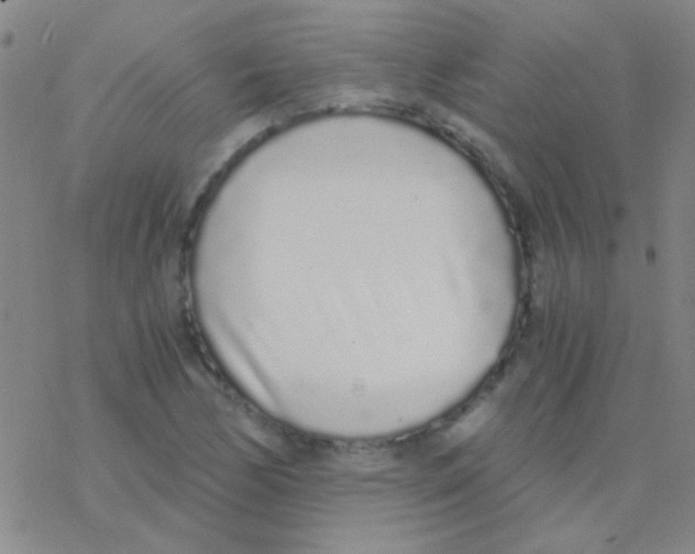 X0000076251170200610261933