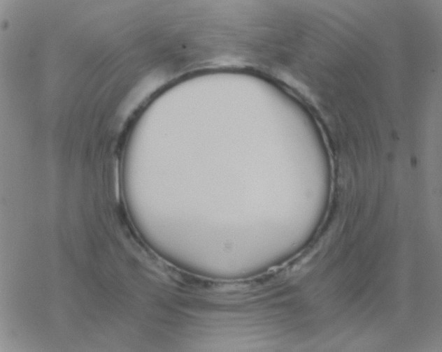 X0000076251171200610261933