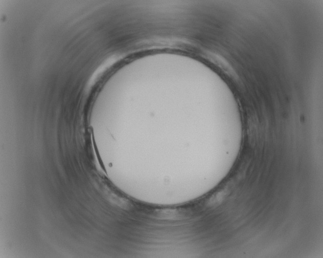 X0000076251172200610261933