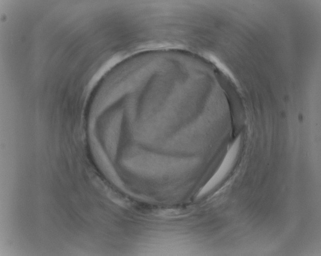 X0000076251173200610261933