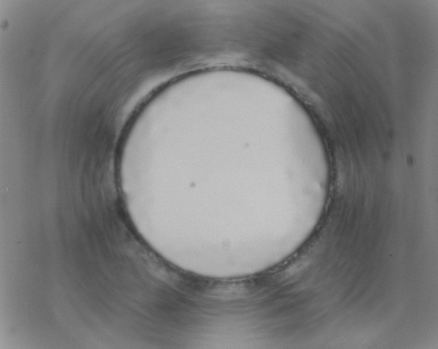 X0000076251174200610261933