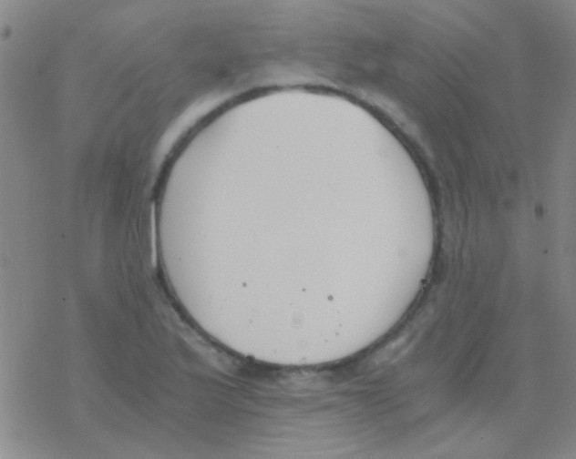 X0000076251175200610261933