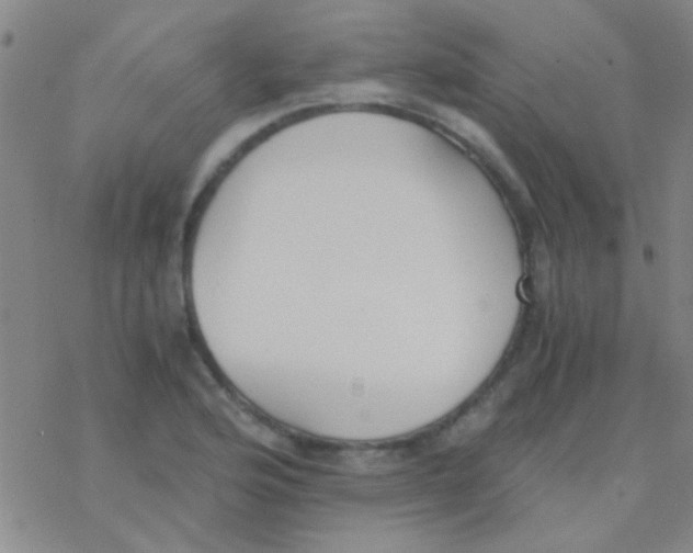 X0000076251176200610261933