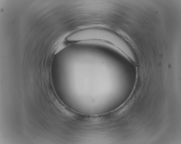 X0000076251177200610261933