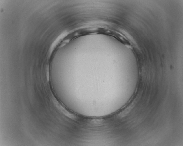 X0000076251180200610261933