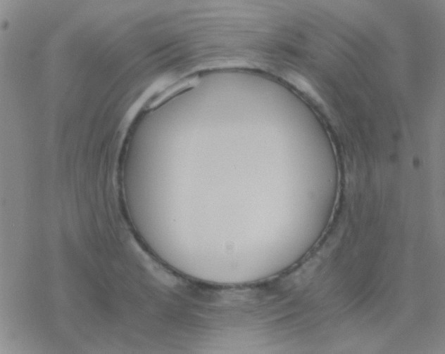 X0000076251181200610261933