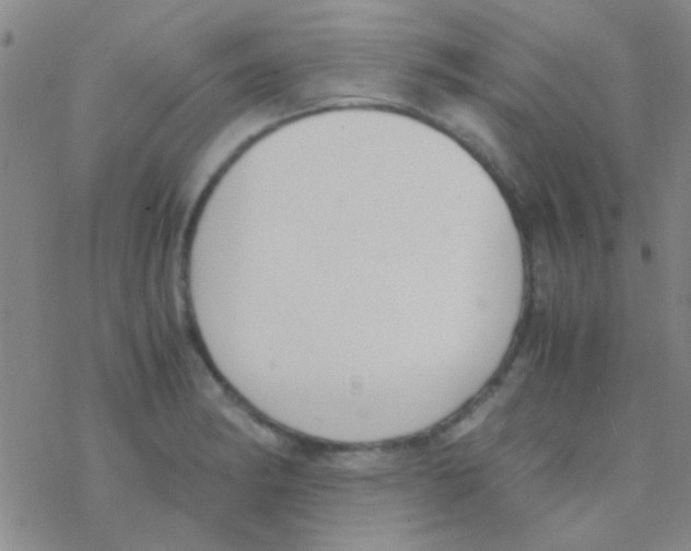 X0000076251182200610261933