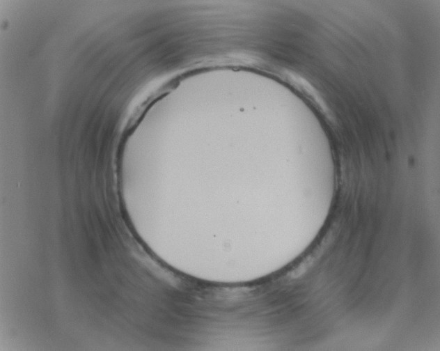 X0000076251184200610261933