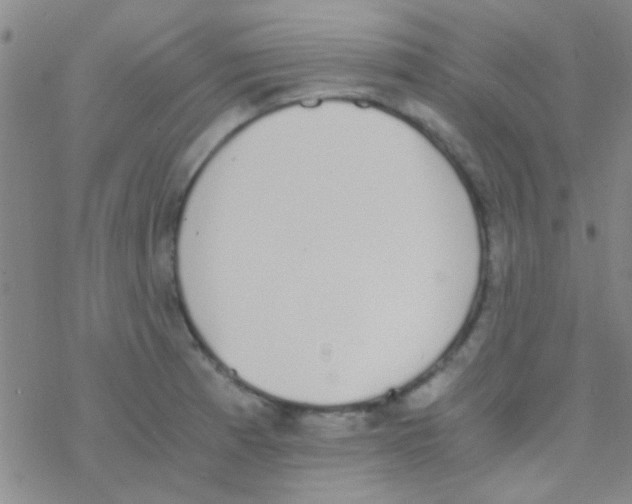 X0000076251185200610261933