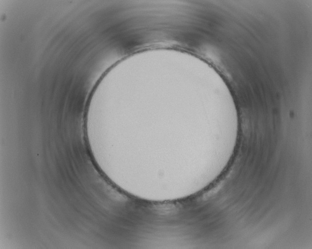 X0000076251186200610261933