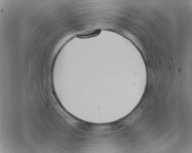 X0000076251187200610261933