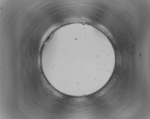 X0000076251188200610261932