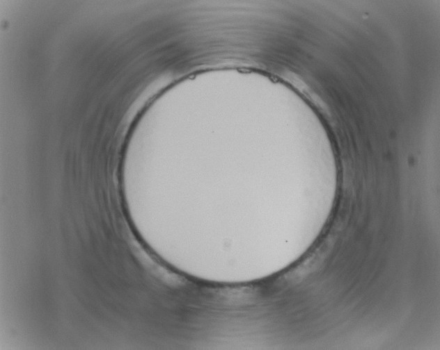 X0000076251189200610261932