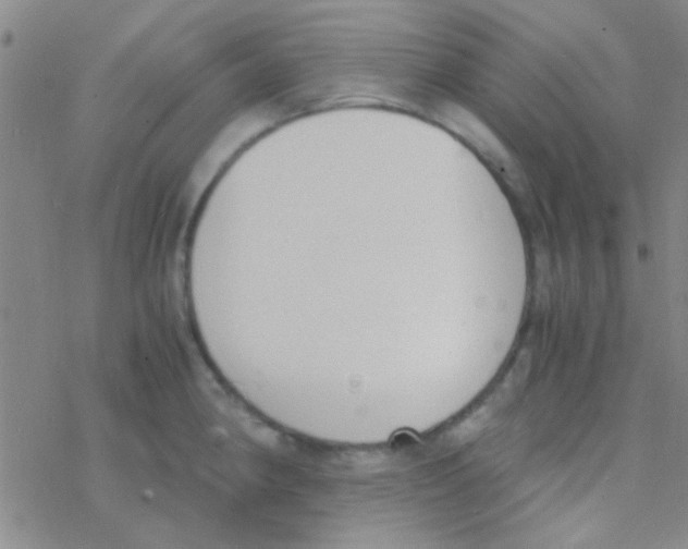 X0000076251190200610261932