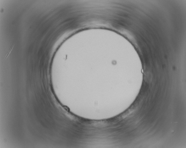 X0000076251191200610261932