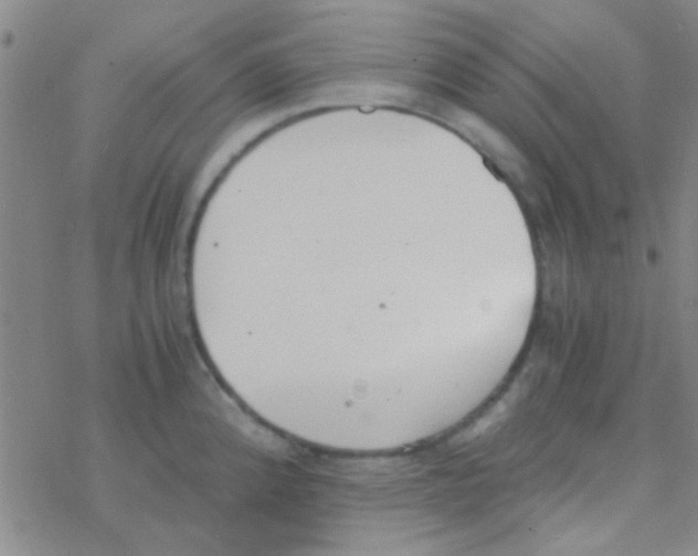 X0000076251192200610261932