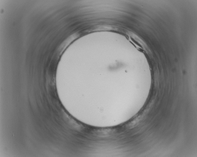 X0000076251193200610261932