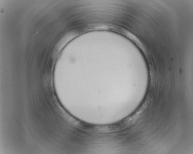 X0000076251194200610261932