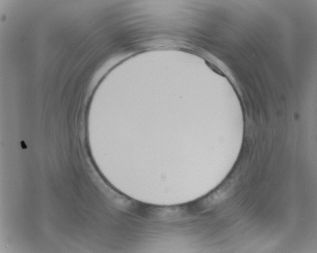 X0000076251195200610261932