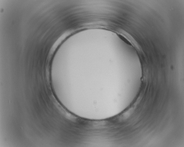 X0000076251196200610261932